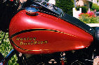 valaircustompaintinggallery001002.jpg