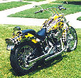 valaircustompaintinggallery001018.jpg