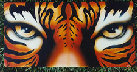 valaircustompaintinggallery001022.jpg
