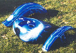 valaircustompaintinggallery002009.jpg
