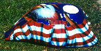 valaircustompaintinggallery003025.jpg