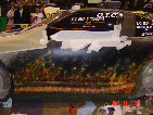valaircustompaintinggallery008004.jpg