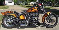 valaircustompaintinggallery009009.jpg