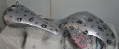 valaircustompaintinggallery011003.jpg
