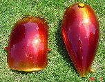 valaircustompaintinggallery013005.jpg