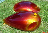 valaircustompaintinggallery013006.jpg