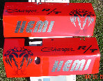 valaircustompaintinggallery013011.jpg