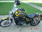 valaircustompaintinggallery013013.jpg