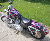 valaircustompaintinggallery014015.jpg