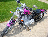 valaircustompaintinggallery014016.jpg