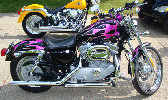valaircustompaintinggallery014017.jpg