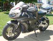 valaircustompaintinggallery020006.jpg