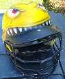 valaircustompaintinggallery021003.jpg