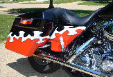 valaircustompaintinggallery021008.jpg
